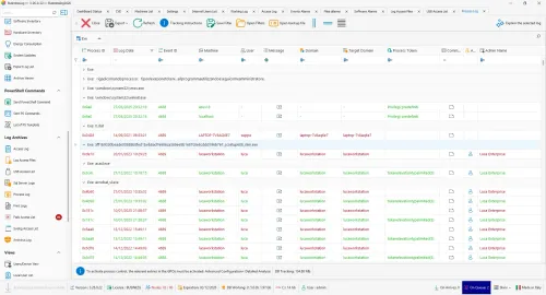 Process auditing